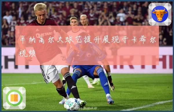 辛纳高尔夫球艺提升展现于卡希尔视频