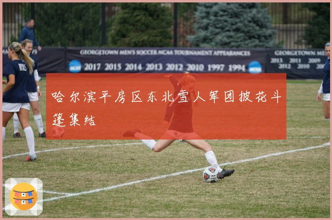 哈尔滨平房区东北雪人军团披花斗篷集结